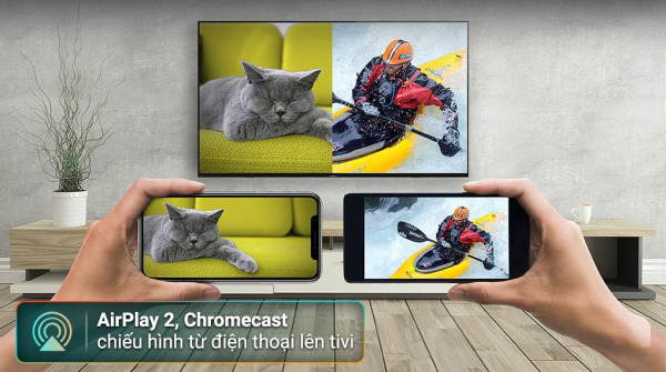 173097657352295971438